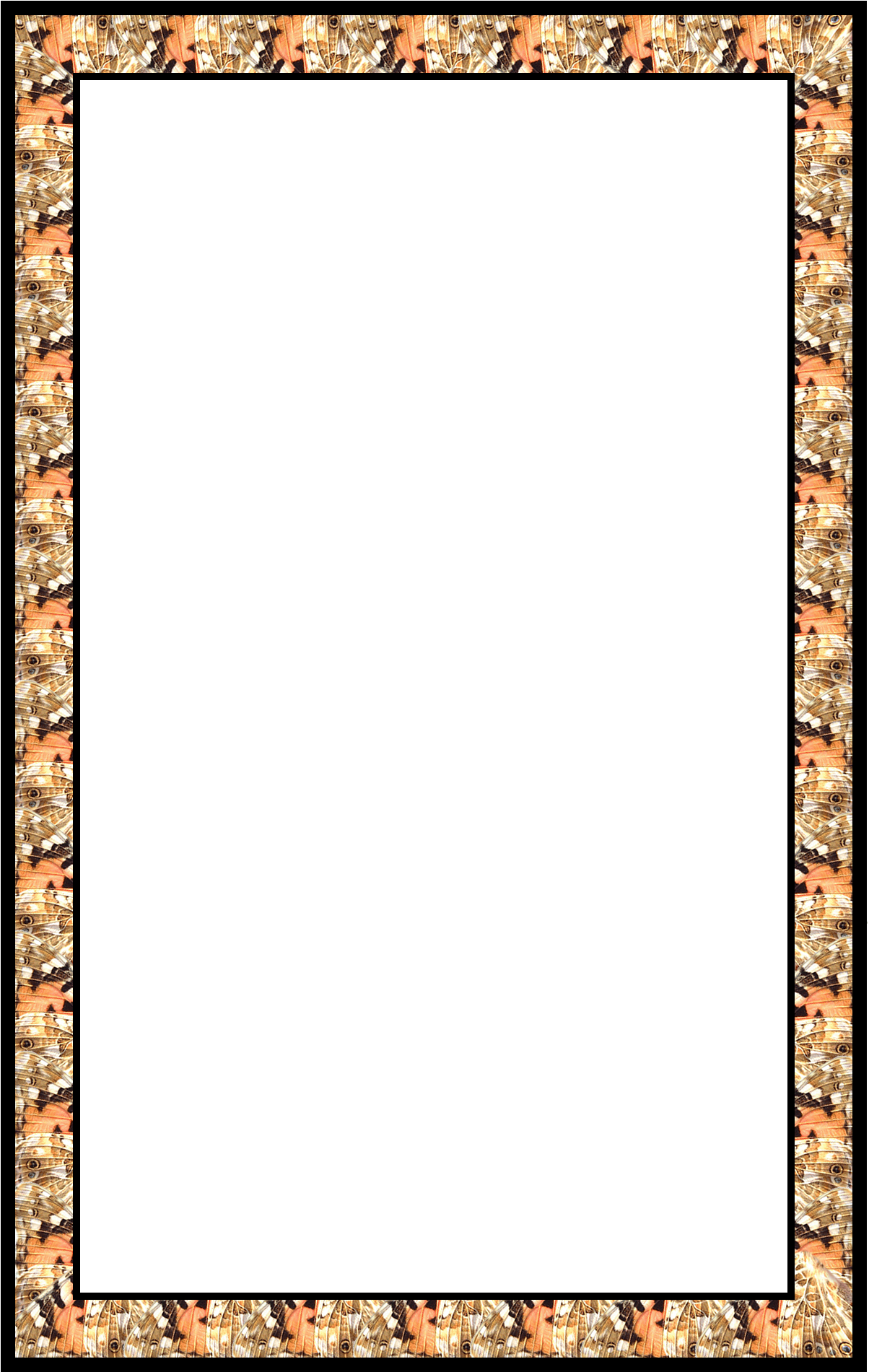 Custom Butterfly Wing Frame That I Made - Art (1400x2100)