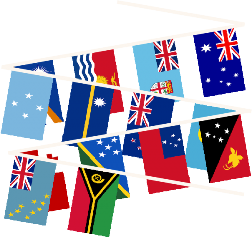 More Views - Papua New Guinea Flag (500x471)