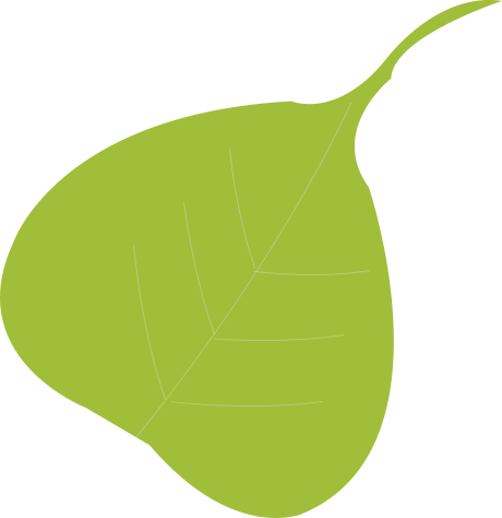 Peepal Tree Leaf Png (460x474)
