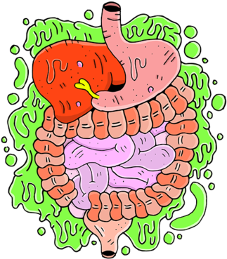 Guts And Allergies - Wellcome Trust (350x425)