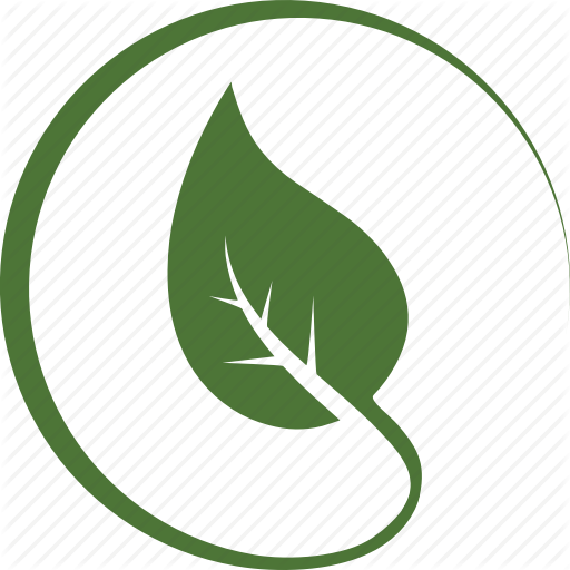 Transparent Fall Leaves Clipart - Green Leaf Icon Png (512x512)