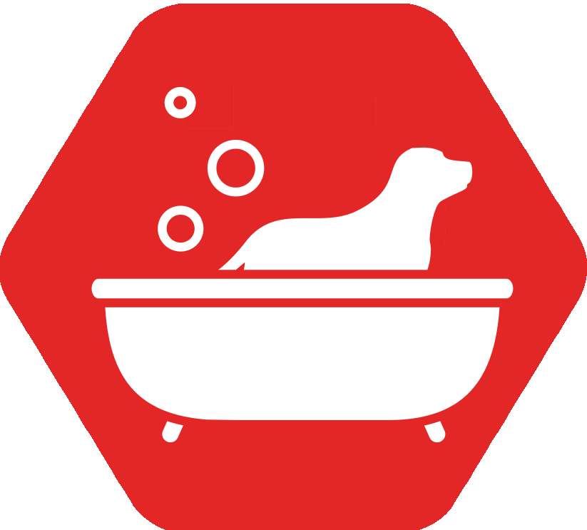 Wash Your Dog Every Day - Allergy (823x743)