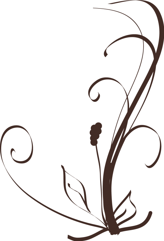 Flower Clipart Spa - Line Art (545x800)