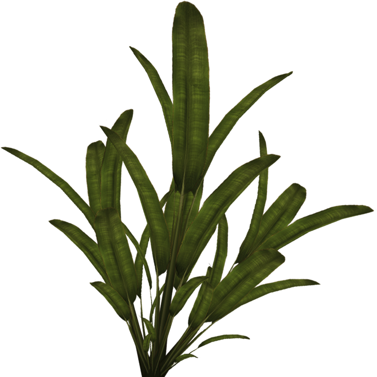 Download On The App Store Download On The App Store - Grass (770x771)