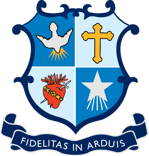 Mary's College Rfc - St Mary's College Rfc (619x648)