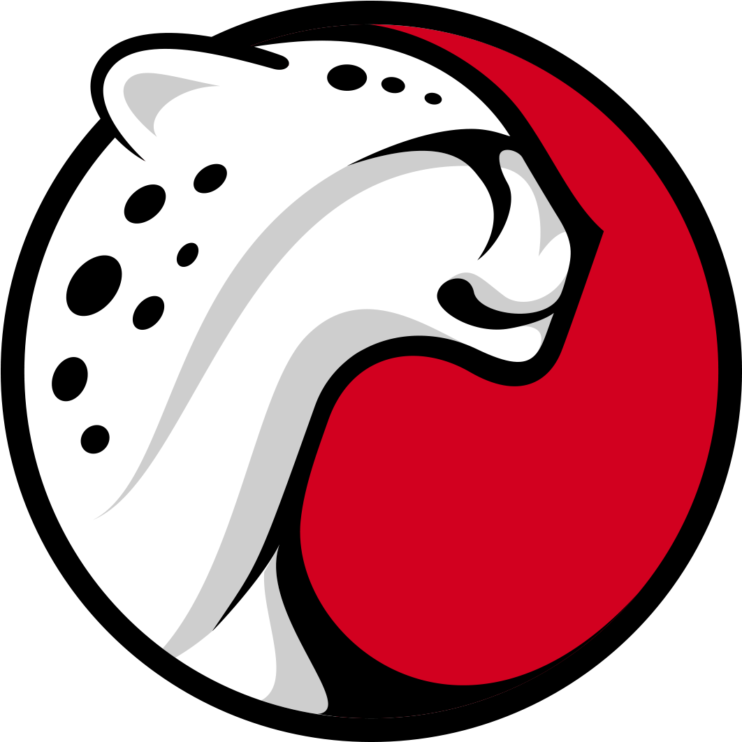 Playtika Chita - Gaming Logo No Copyright (1080x1080)