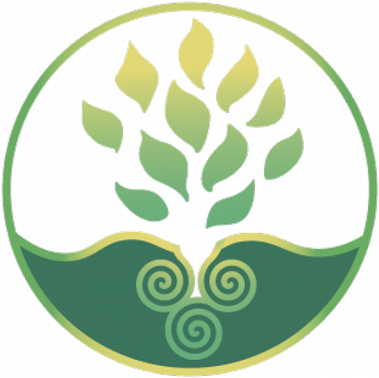 Clipart Resolution 600*600 - Circle (600x600)