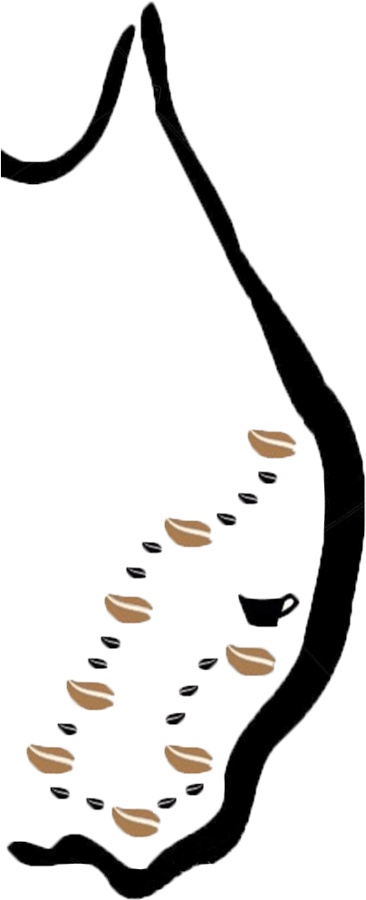 3elements Campfire Sessions Invictus Games 2018 Arts - Music (472x1052)