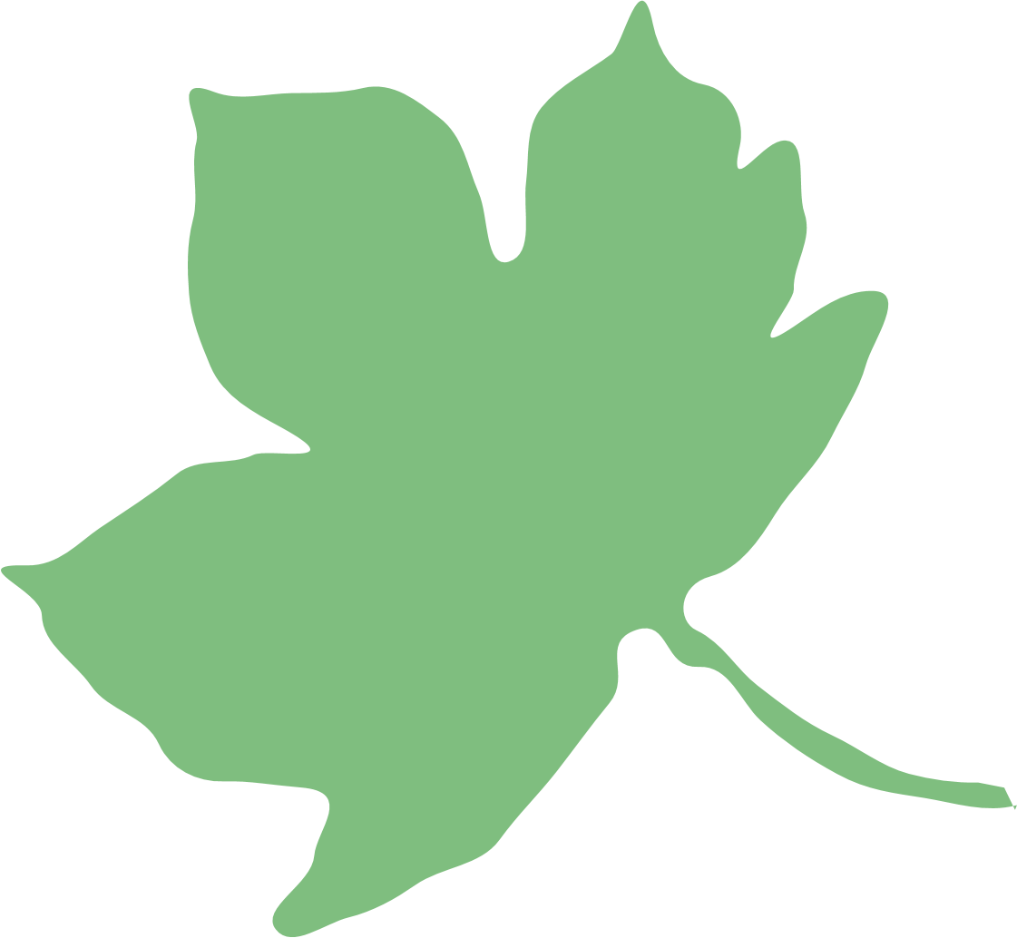 Forest School Handbook - Heacham Junior School (1121x1034)