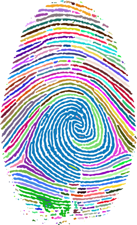 Fingerprint Computer Icons Thumb Fingerabdruckscanner - Fibonacci Fingerprint (458x750)