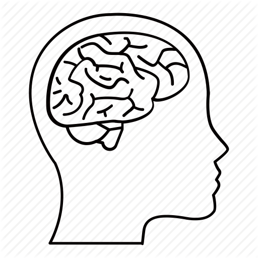 Scan Drawing Clip Art Transparent Stock - Brain Scan Drawing (512x512)
