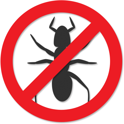 Warranty For Termite Treatment Costs - Don T Drink (550x550)