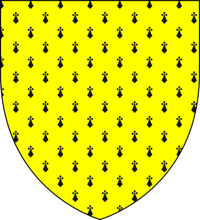 Complete Guide To Heraldry Escutcheon Coat Of Arms - Ermine Heraldry (682x750)