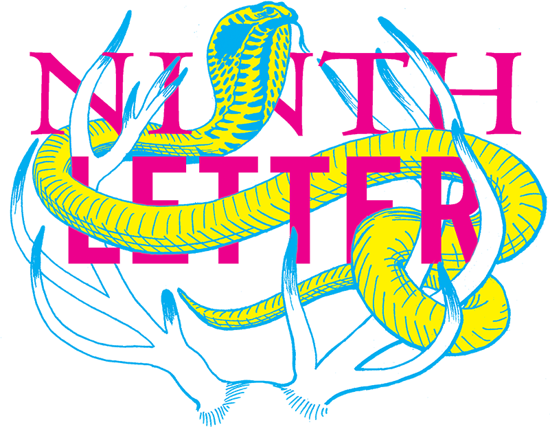 2 Fall / Winter 2015 - Ninth Letter (800x636)