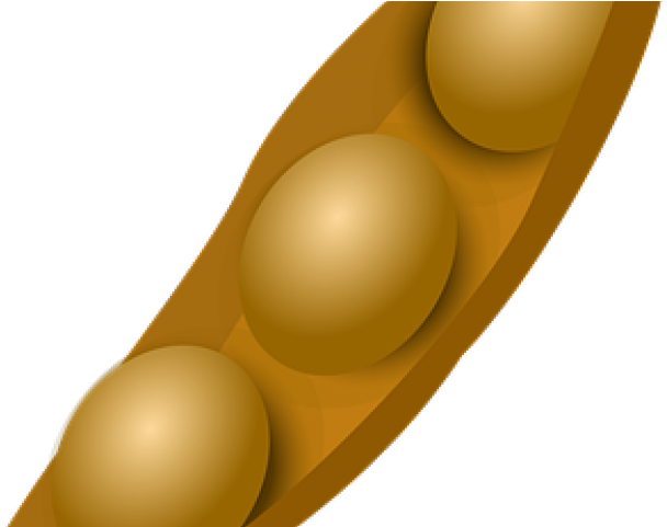 Lima Beans Clipart Soy Bean - Illustration (640x480)