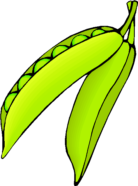 Pea Vegetarian Cuisine Soybean - Paradajka (490x652)