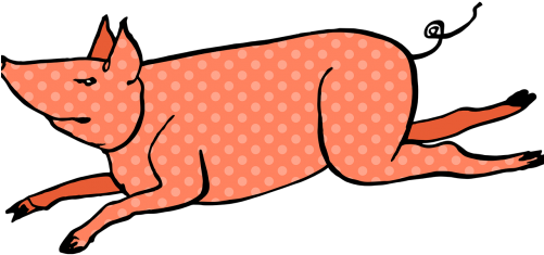 Domestic Pig (500x250)