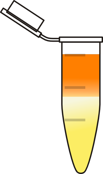 Eppendorf Tube Png (354x593)