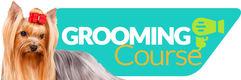 Request Reservation - Lovinpet Dog Scissors Grooming Curved Stainless Steel (1084x395)