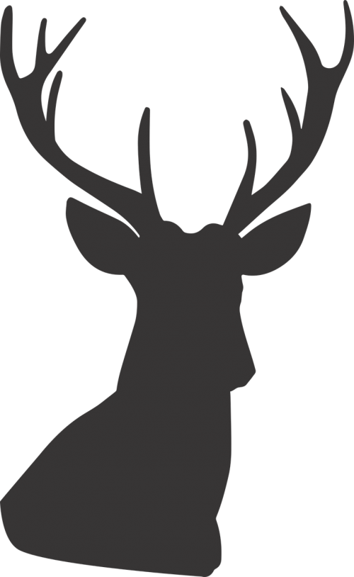Free Photos Silhouette Search - Deer Silhouette Clipart Deer (500x814)