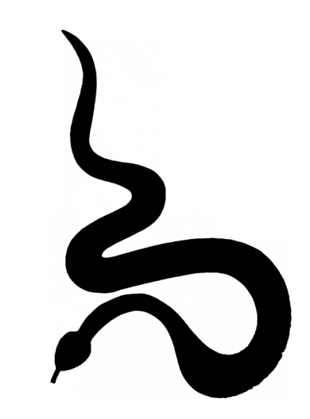 Google Search Cake Stencil, Stencils, Flower Template, - Snake Silhouette (600x600)
