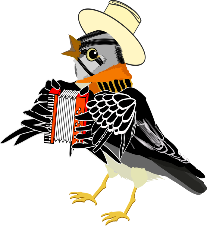 Bird Accordion Music Watercolor Painting - Accordion Bird (687x750)