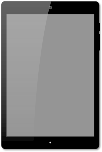 Tablet Computers Computer Monitors Laptop Touchscreen - Led-backlit Lcd Display (496x750)