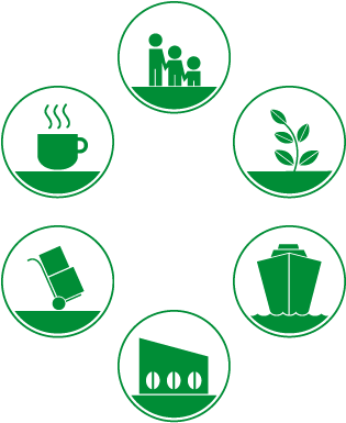 Sustainable Coffee Is At The Heart Of What We Do - Coffee (314x413)