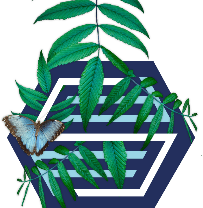 Environment Clipart Sustainable Development - オリオン 40v型 フルハイビジョン液晶テレビ 外付けhdd録画対応 裏番組録画 ブルーライトガード搭載 (738x720)