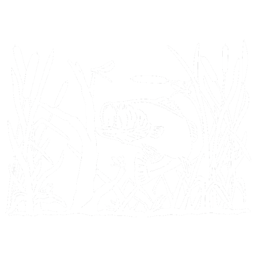 Fabric Acornteal Pattern - Illustration (500x500)