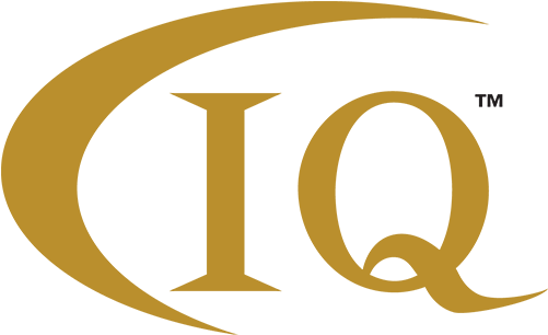 Iq Innovative And Beyond Month - Detroit Tigers Always A Tiger (500x500)