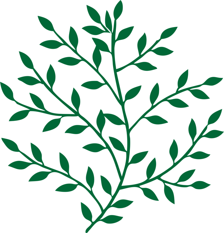 Branch for as