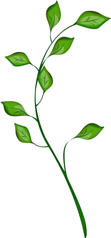 Фото, Автор Cutepictures На Яндекс - Flower (373x800)