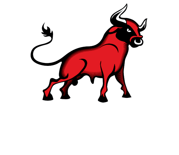 Northamptonshire-based Brands Working Together To Provide - Bull Head (621x539)