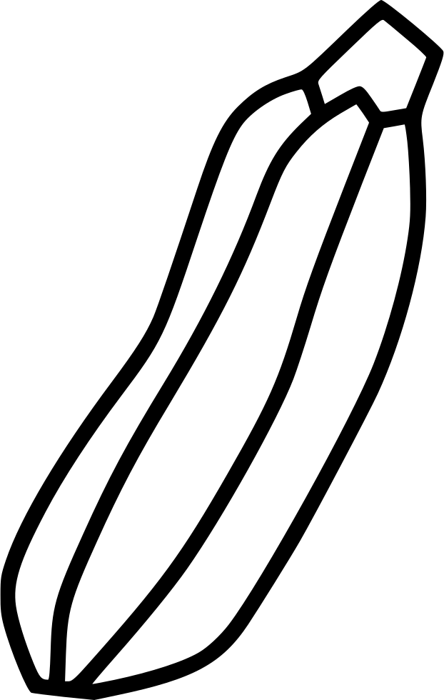 Zucchini Squash Gourd Comments - Squash (622x980)