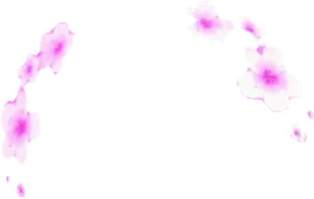 Dalmatian Clipart Dog Filter Transparent - Moth Orchid (721x558)