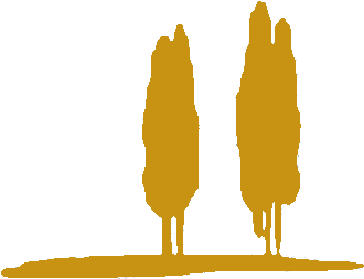 La Trattoria Midleton - La Trattoria Midleton (470x353)