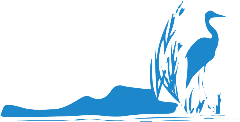 Com/wp - Illustration (1005x1024)