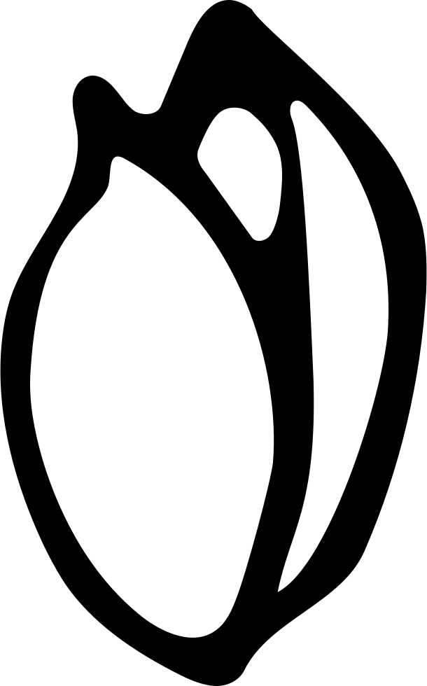 Nut Clipart Svg - Icon (610x980)