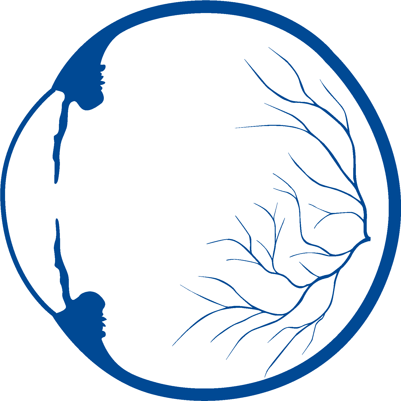 Retinal Registry And Epidemiology Research - Retinal (1772x1772)