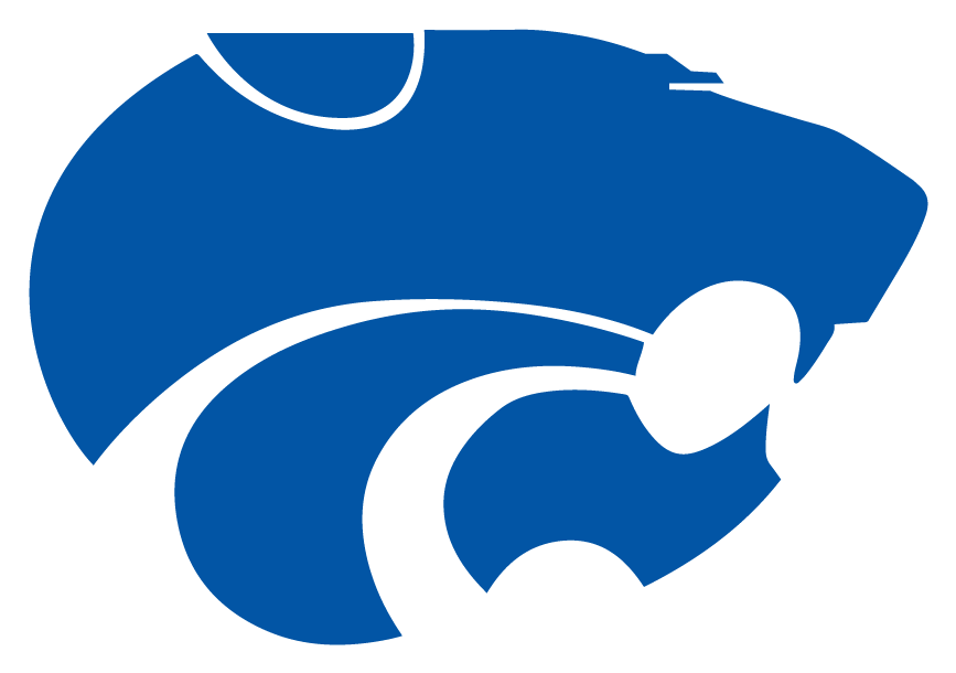 Paloma Valley Wildcats Logo (876x876)