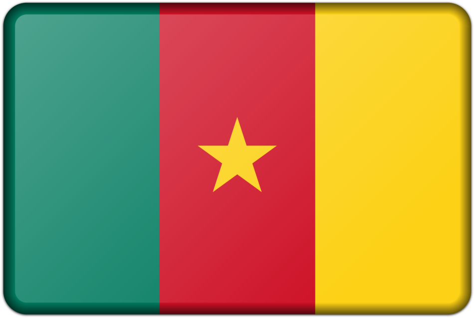 Flag Of Cameroon National Flag Gallery Of Sovereign - China Flag (1125x750)
