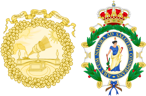 This Image Rendered As Png In Other Widths - Royal Academy Coat Of Arms (500x307)