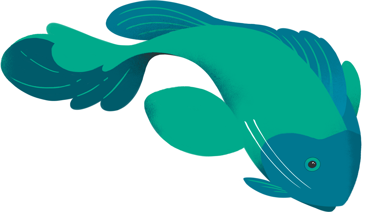 Aquarius On Behance - Aquarius On Behance (1200x688)