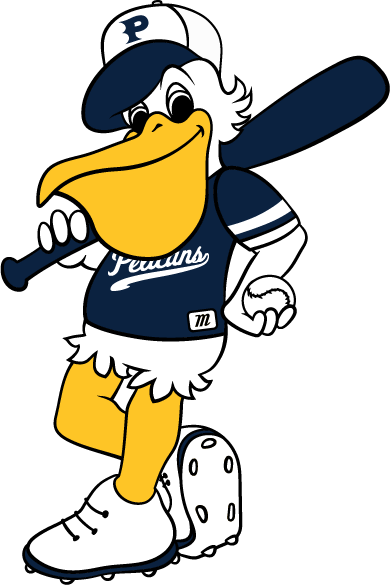 Myrtle Beach Pelicans (390x585)