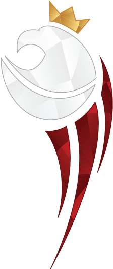 O Nas - Speed Ball Polska Logo (481x550)