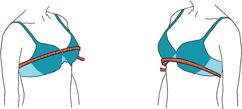 Next, Determine Your Bust Measurement By Pulling The - Next, Determine Your Bust Measurement By Pulling The (925x450)