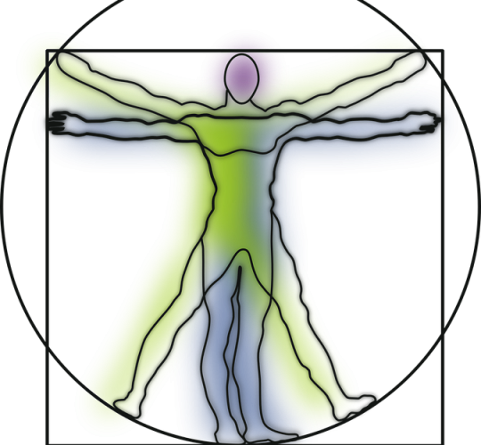 Consequently, The Blog Contains A Rich Archive Of Information - L' Homme, Cet Inconnu [book] (540x500)