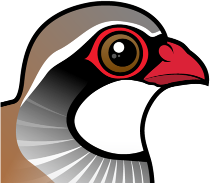 Also Known As - Cartoon Partridge (440x440)