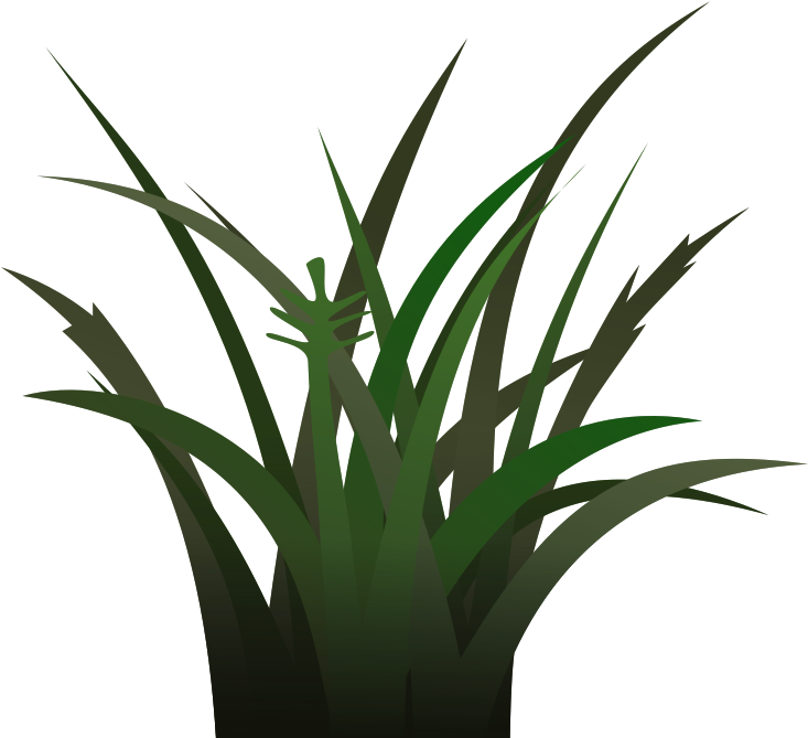 All Photo Png Clipart - Grass Cliparts (800x800)